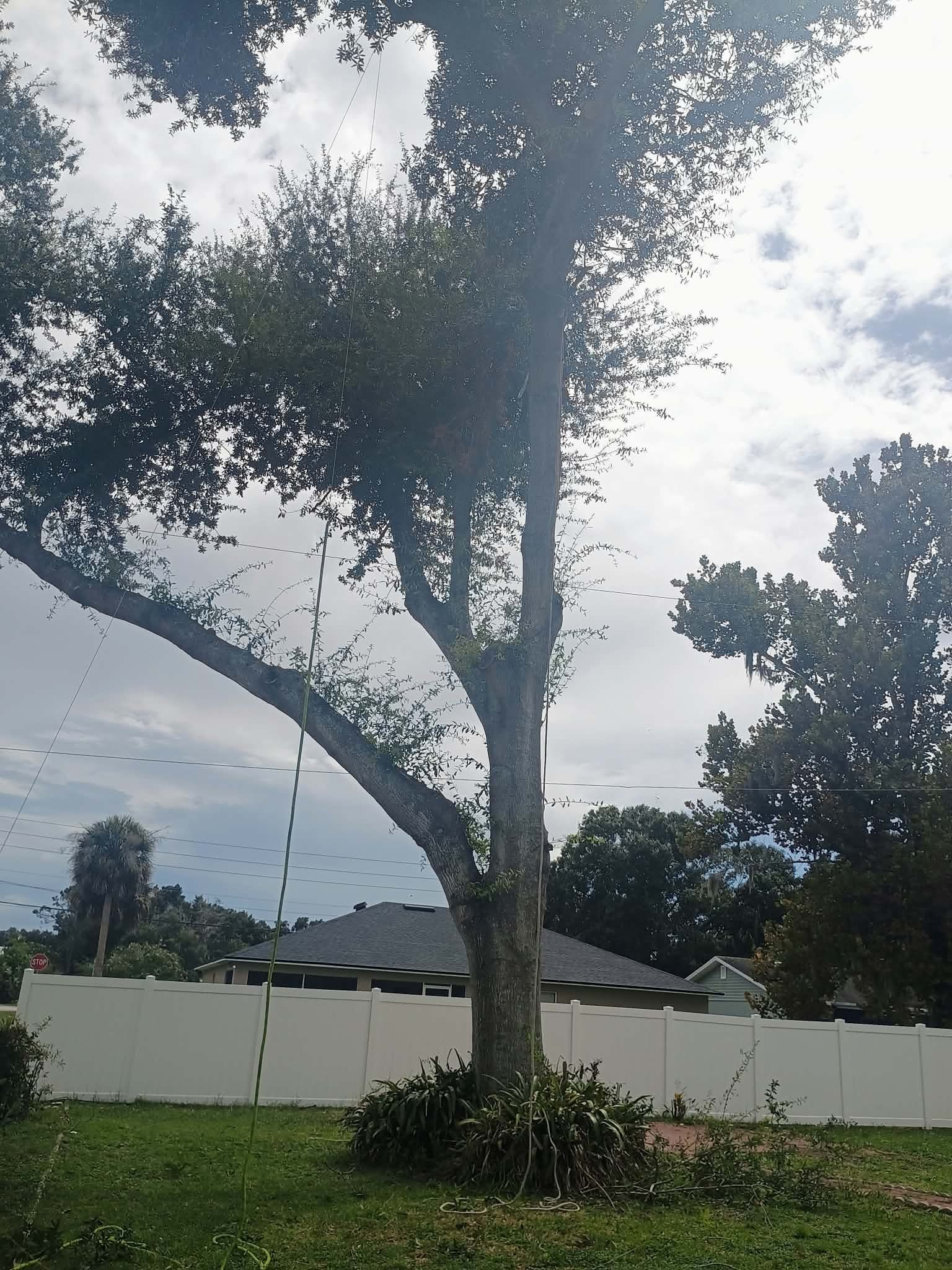 d2d5e3c4-c201-4d72-91be-aad516940546